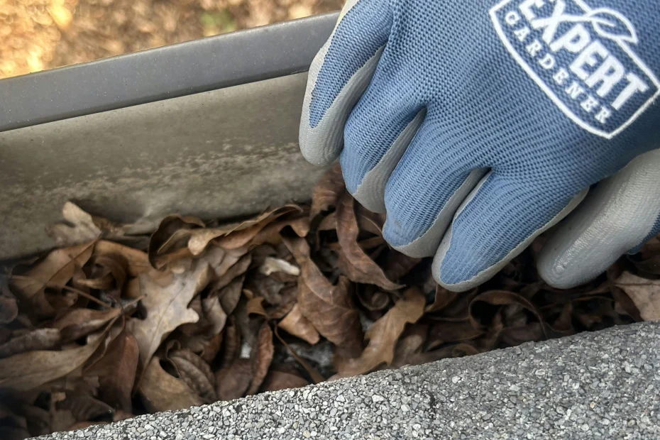 Gutter Cleaning Clifton Park